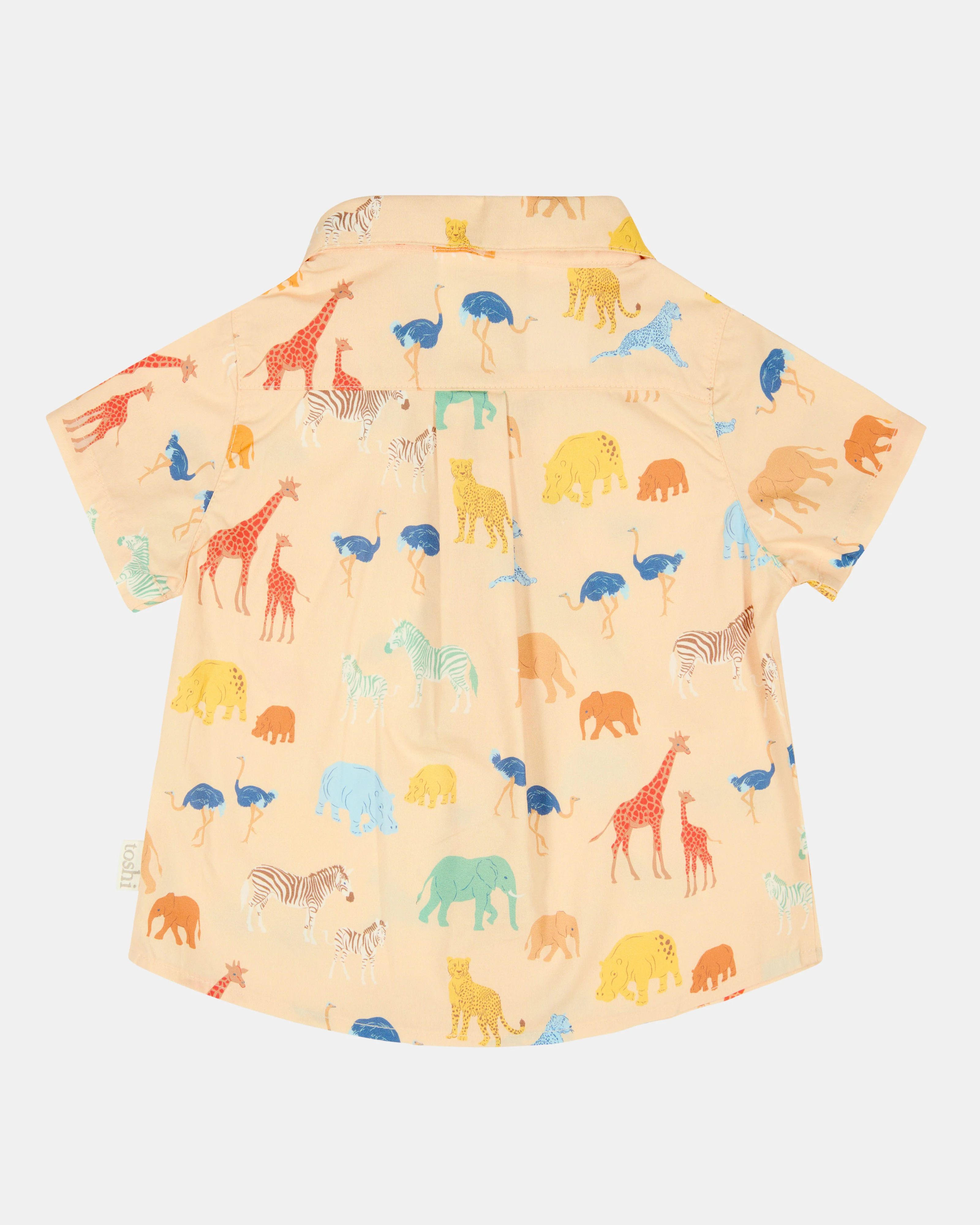 Shirt Banjo Congo Driftwood - Image 4