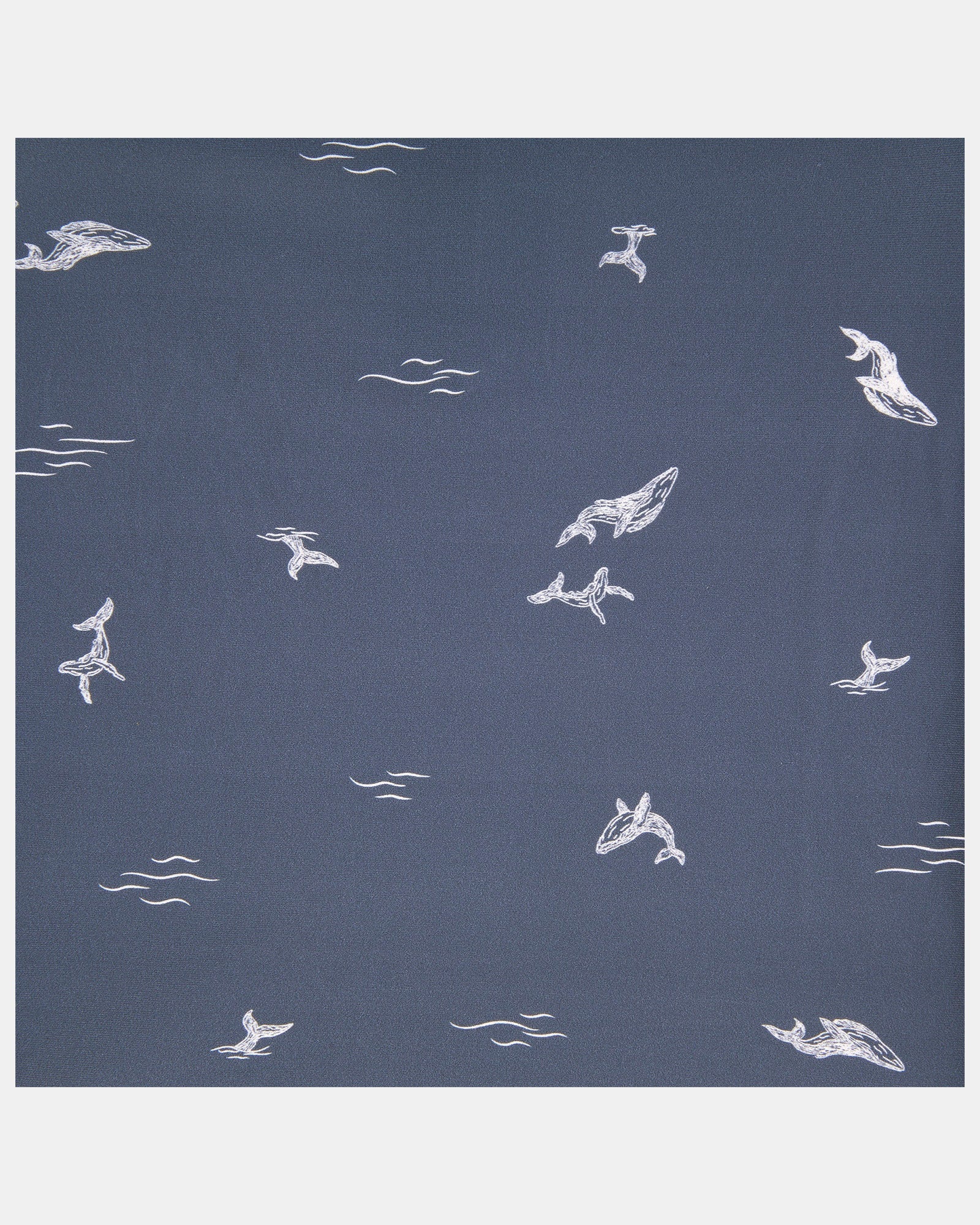 Swim Baby Nappy Classic Whales - Image 4